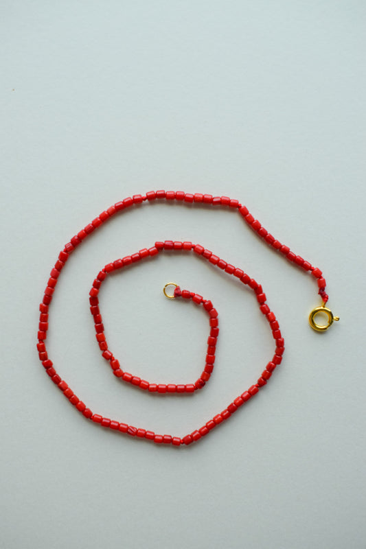 The Coral of Protection