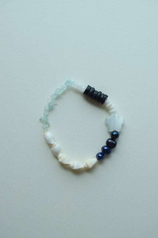 Seashell Dreams